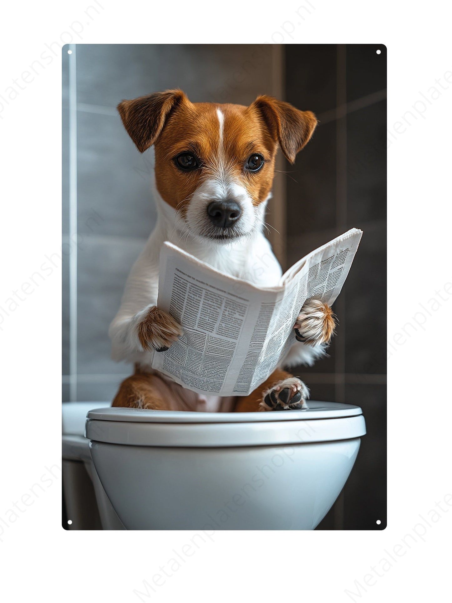 Jack Russel op de WC met een krant - Metalen Wandbord