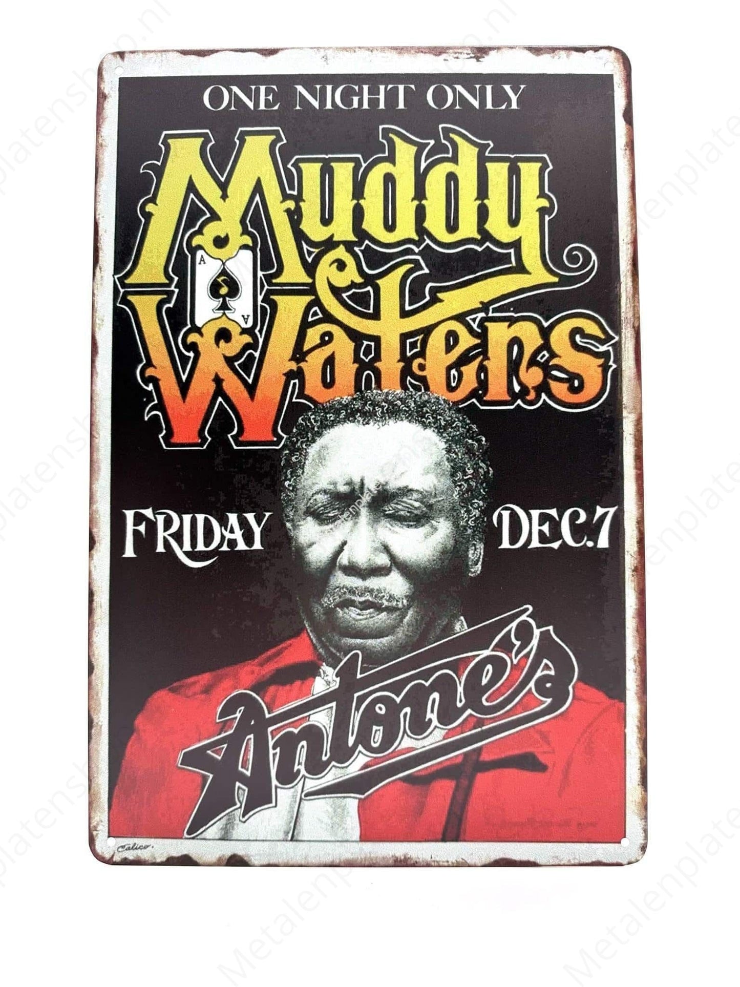 Muddy Waters - One Night Only - Poster