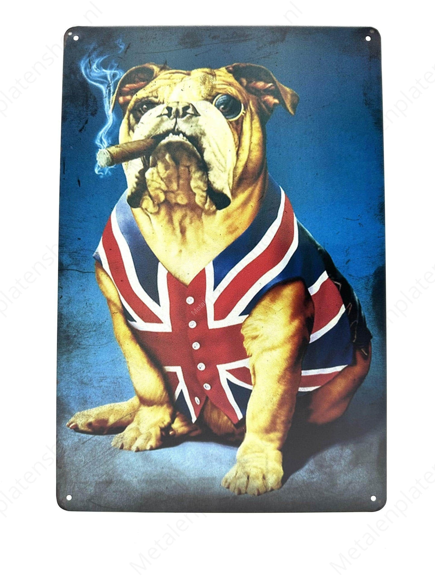 American Dog