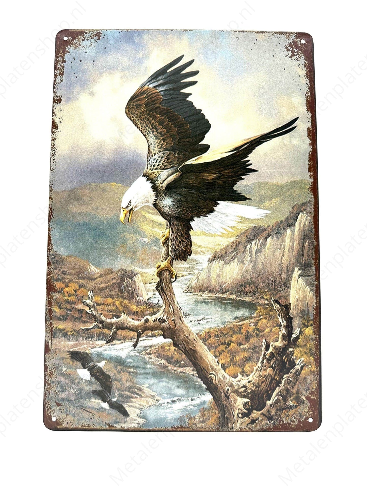 Adelaar - Eagle