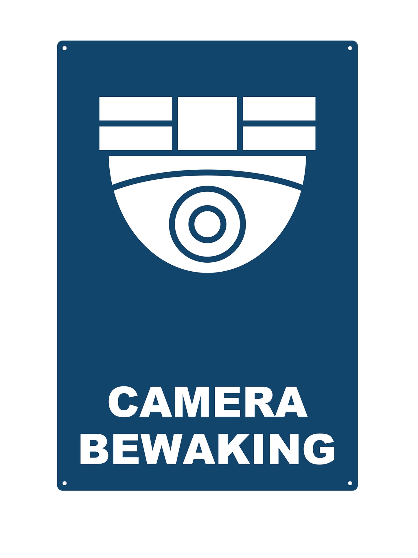 Camera Bewaking #3 - Metalen Wandbord