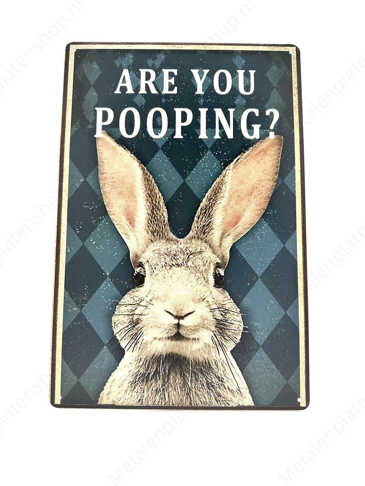 Are you pooping - Rabbit - Metal Wall Sign