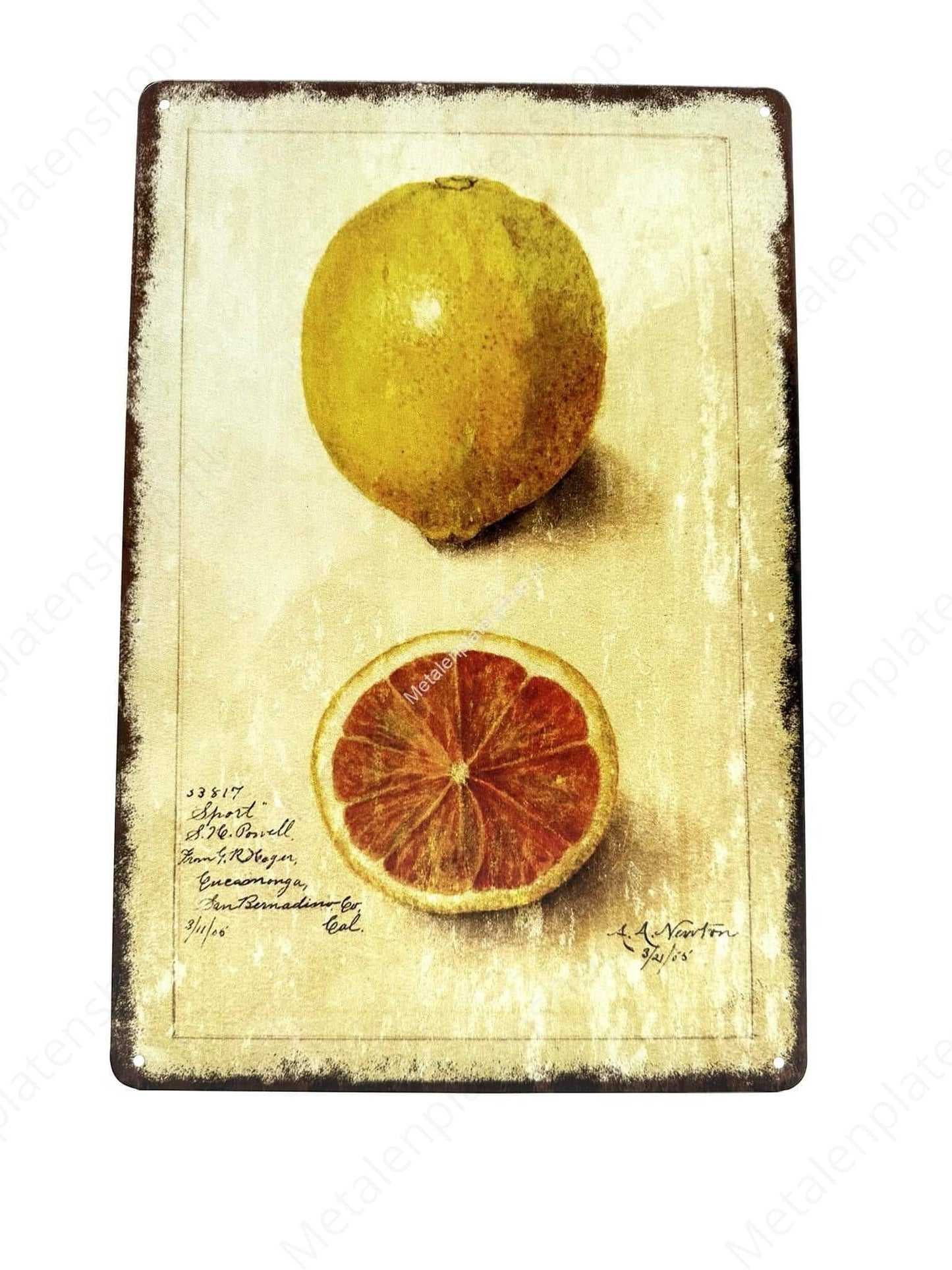 Lemon - Metal Wall Sign