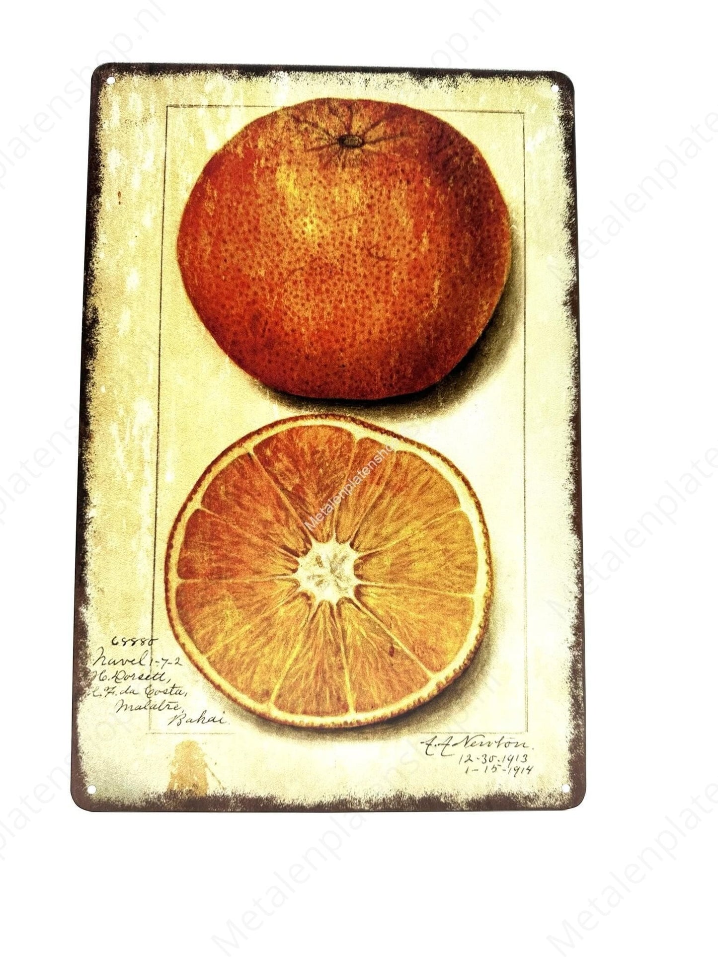 Orange - Metal Wall Sign