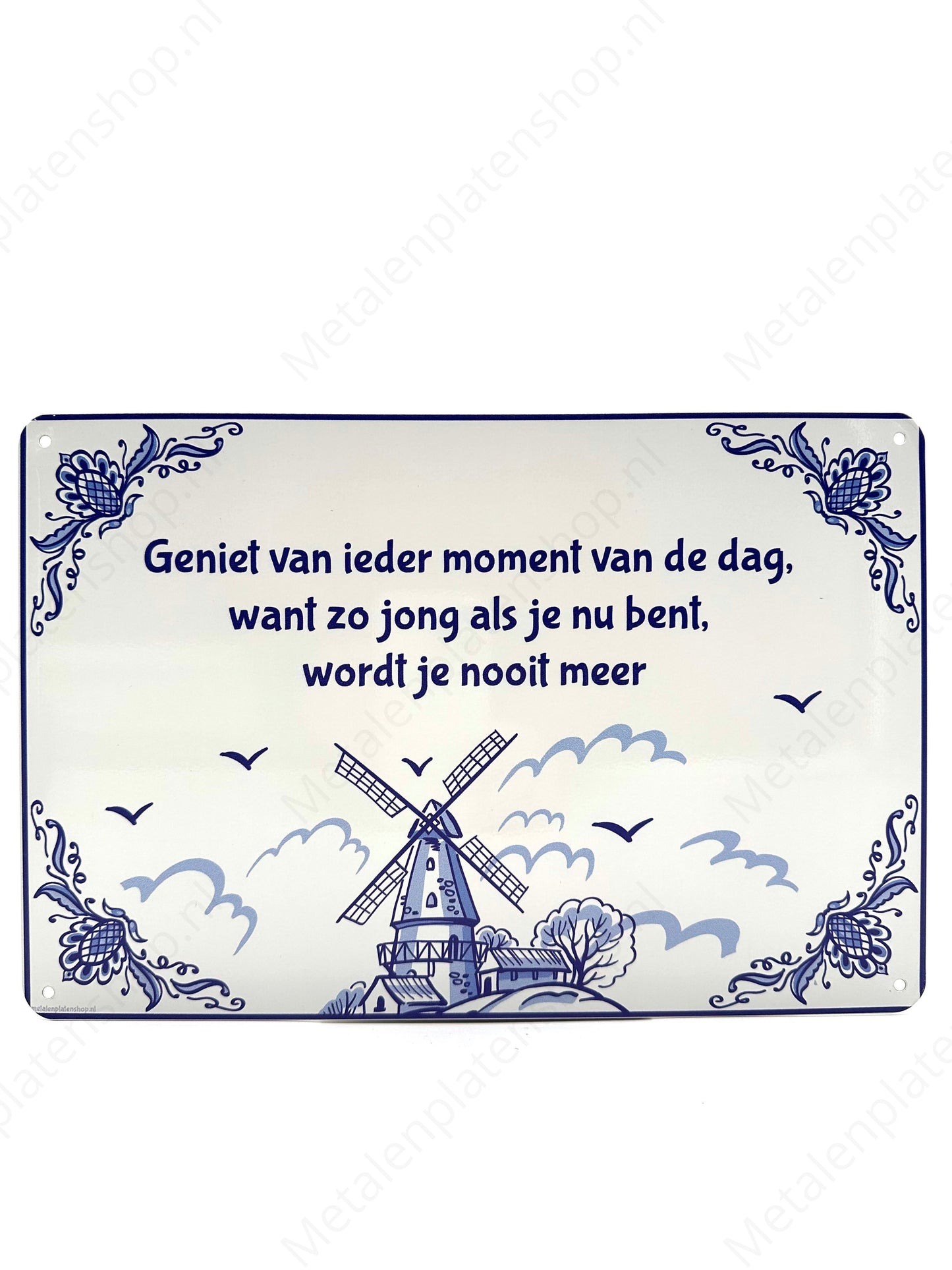 Enjoy every moment of the day, because you will never be as young as you are now - Metal Wall Sign