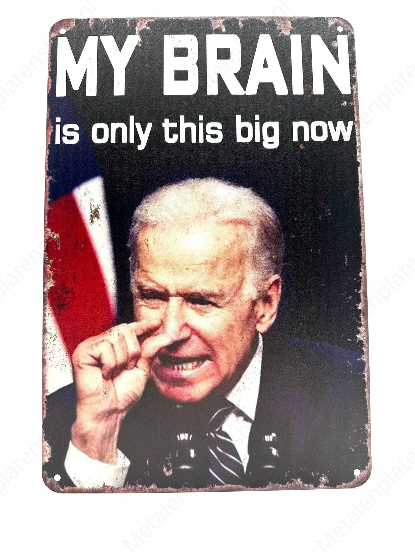 My brain is this big now - Metalen Wandbord