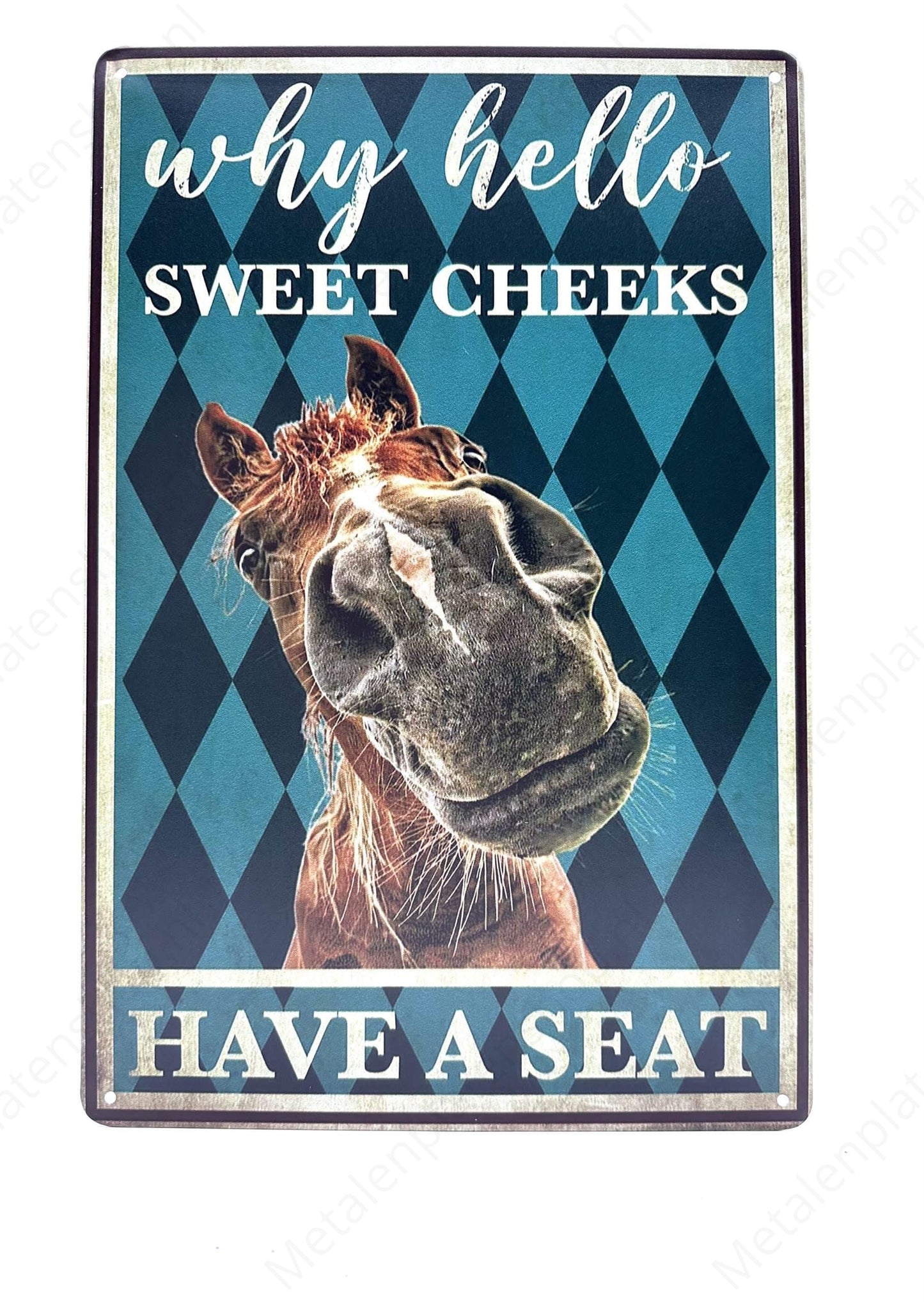 Why Hello - Sweet Cheeks - Have a Seat - Metal Wall Sign