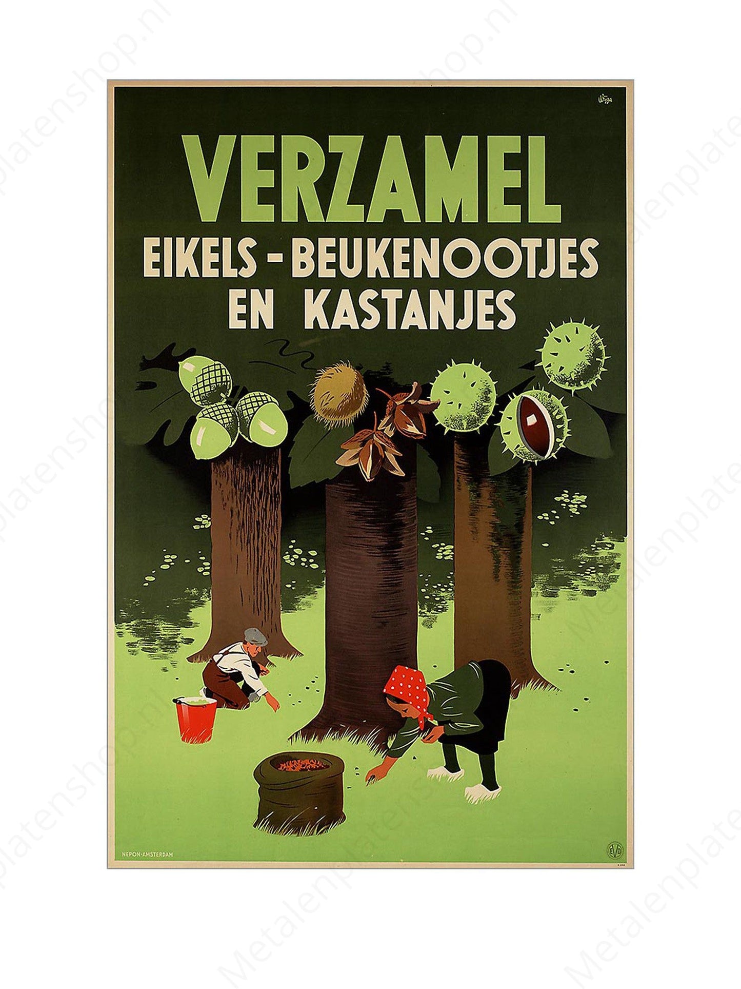 Collect acorns - beechnuts and chestnuts - Nostalgic - Metal Wall Sign