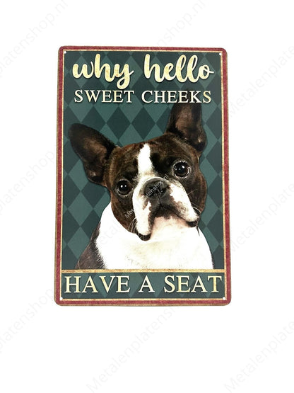 Why Hello Dog - Metal Wall Sign