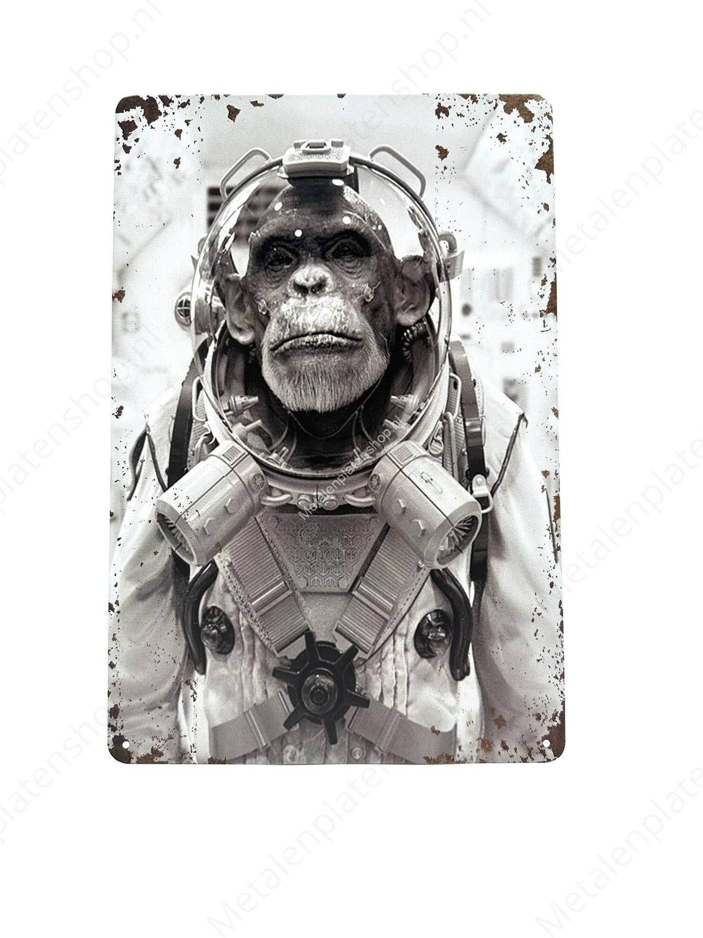 Monkey Astronaut - Metal Wall Sign